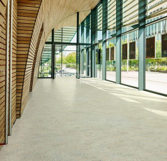 Forbo Marmoleum Decibel on Order 342835 seashell фото 3 | FLOORDEALER